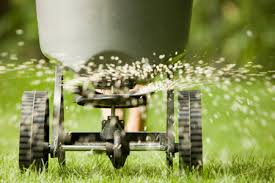 Green Point Lawn Care