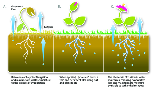 Moisture Manager Infographic